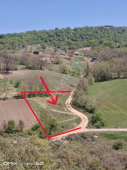 Kestel Nüshetiye'de Dere Kenarı, Yolu Olan, Asfalt Yola Cephe Tarla