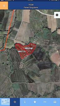 Hayriye Mahallesinde Çiftliklik Tarla