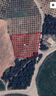 Ena Group Bursa Mudanya Göynüklü'de Resmi Yola Cephe Manzaralı 5000 M2 Satılık Bahçe