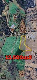 13.500m2 Ezine Kemallıda Kaçırılmayacak Yatırımlık Tarla!