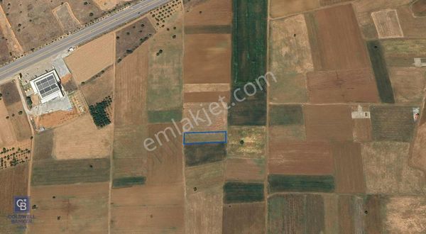 Acıpayam Yassıhüyük Mh. Satılık 1325 M2 Tarla