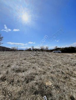 Senir Kasabasında 3.000m2 Tek Tapulu Göl Manzaralı Badem Bahçesi