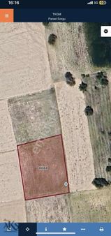 Senir'de Havalimanı Ve Organizeye Yakın Bağ Tapulu Fırsat Tarla