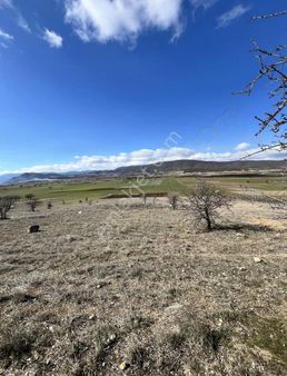 Lavanta Gül Turizm Tesislerine Yakın Göl Manzaralı Fırsat Tarla