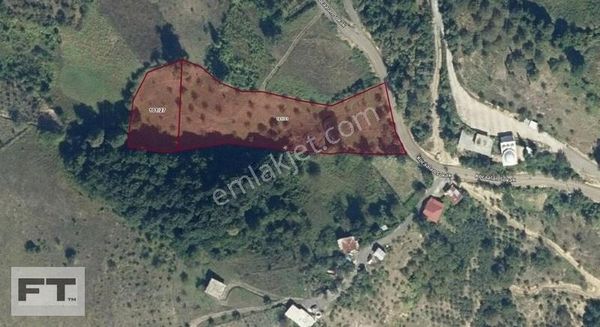 Canik Tekkirazda Satılık Mükemmel Arazi