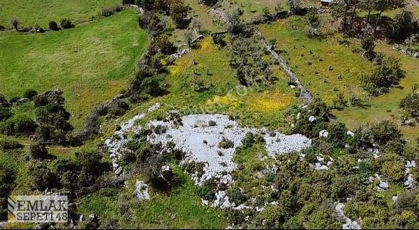 Satılık Ekolejik Tarım & Marjinal Trım Arazisi
