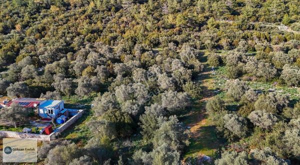 Didim Akyeniköy'de Satılık 300 M² Müstakil Villa Arsası