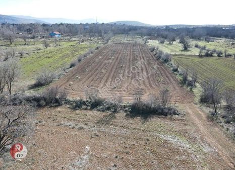 Antalya Korkuteli Bozova Mahallesi'nde Satılık 1.345m2 Tarla