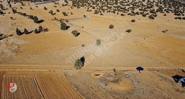 Antalya Korkuteli Beğiş Susuz'unda Satılık 3.545m2 Tarla