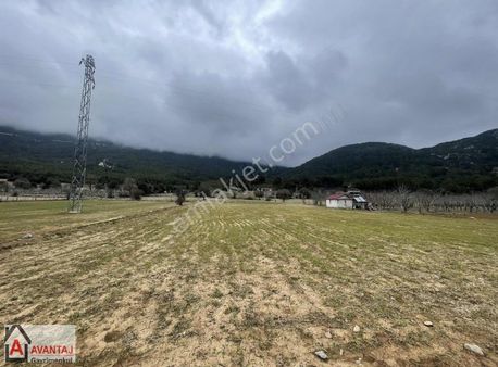 Fethiye Nif Mahallesi Gedre Mevkiinde Satılık Tarla !