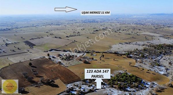 Uşak Ortaköy 31 Dönüm Müstakil Tapulu Tarlafaturalı&kredi Kartı