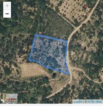 Niğde Ulukışla Klan'da Satlık Kiraz Bahçesi