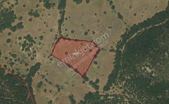 Çanakkale Yenice Yeniköy 7,5 Dönüm Yolu Olan Tarla Satılık