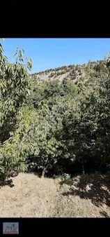 Toros Emlak Darboğazda Satılık 3155 M2 Satılık Bahçe