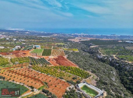 Erdemli Batısandal Da Satılık Köyiçi İmarlı Tarla