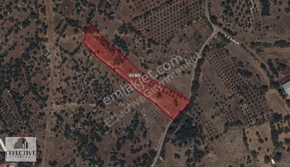 Döşemealtı Karavelilerde 3066 M² Satılık Tarla Ref477