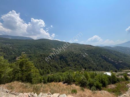 Alanya Dim Uğurlu Köyünde Satılık Tek Tapu 3419 M2 Tarla