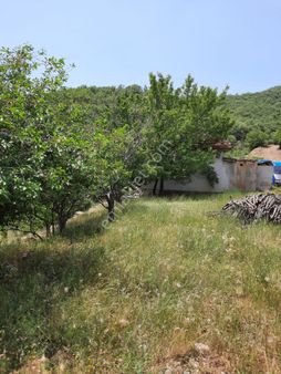 Manisa Ahmetli En Gözde Olan Bşr Konumda Meyve Bahçesie