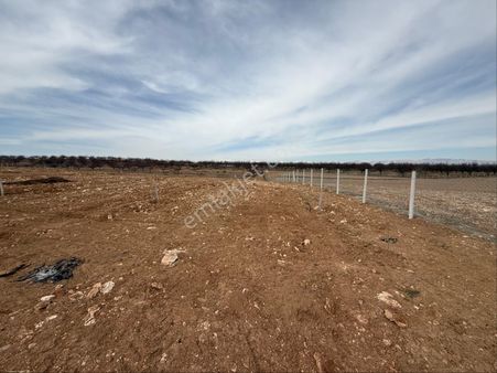 Arıkandan Kuyuluda 13 Dönüm Satılık Arazi