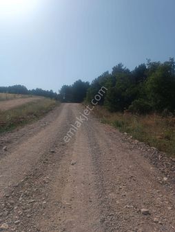 İnegöl Şehitler'de Satılık Tarla