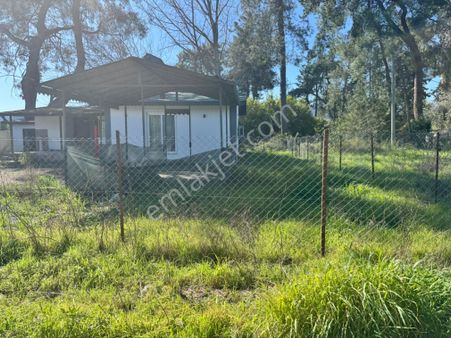 Konyaaltı Bahtılık 9800m2 Portakal Bahçesi