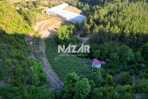 Yenice'de Kargı Çayına Sıfır Satılık 4.847m² Müstakil Bahçeli Ev