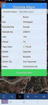 Bursa Gemlik Karsak Köyüne Yakın Yatırımlık Satılık Zeytinlik