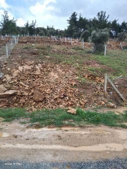 Torbalidasatiliktarla