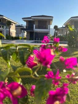 Kuşadası Davutlar'da Ortak Havuzlu Site İçinde Müstakil Villa