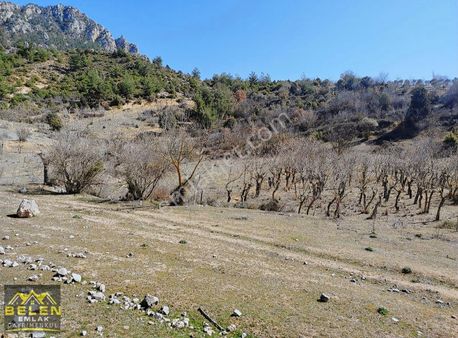 Köye Yakın Konumda Arsamız