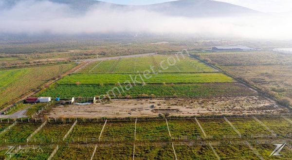 Zeta - Avşar'da Kadastral Yola Cepheli - 12.084 M2 Satılık Tarla