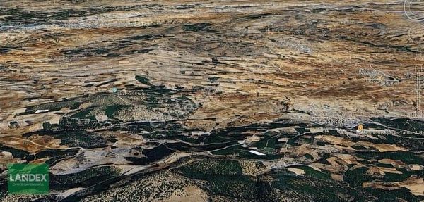 Çal Selcende Satılık 3 Parsel Tarla Hepsi Birlikte 20179m2