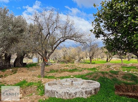 Datça Yaka-kumyer'de Köy Gelişim Alanında 4.102 M2 İmarlı Tarla