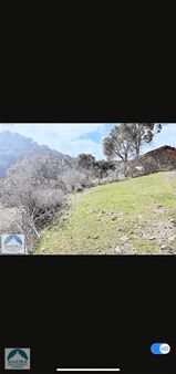 Balıkesir Burhaniye Sübeylidere Köy Arsası