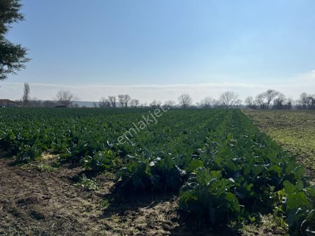 Re/max'ten Bursa-çanakkale Yoluna Cepheli 4564 M² Arazi