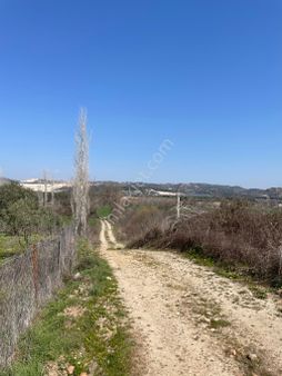 Yatağan Hisarardında Tarıma Uygun Suyu Olan Tarla