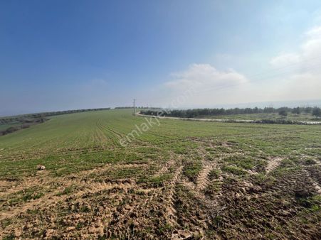 Re/max'ten Bursa Danişment'de Yola Cepheli 25.300 M² Arazi