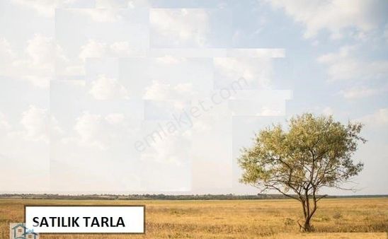 Fiyat Düştü!!!sfe 20 Gayrimenkulʼden Denizli Çardak Gemiş'te Marjinal Raporu Alınmış 32 Dönüm Arazi