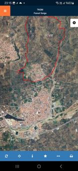 Havran Merkeze Yakın 75 Ağaç Zeytinlik