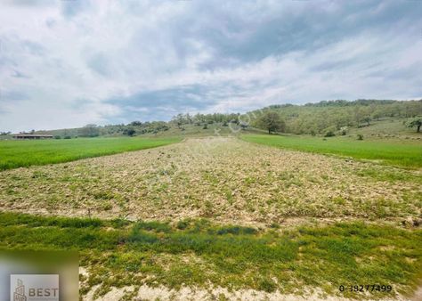 Buldukpınar Mevkiinde Satılık Tarla