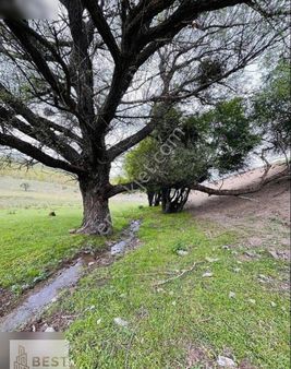 Eskişehir Buldukpınar Mevkiinde Satılık Tarla