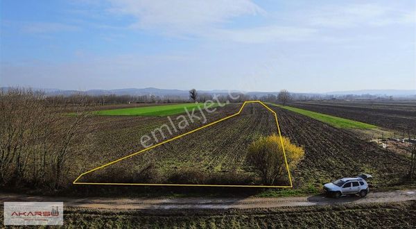 Ağacık Mahallesinde 21,950 M² Verimli Tarım Arazisi