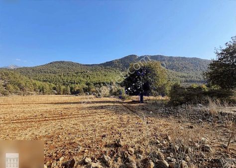 Kayaköyde Satılık Rızai Taksimli Yatırımlık 5300 M2 Tarla