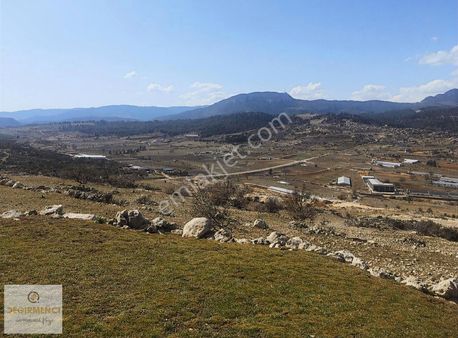 Değirmenciden Akarca Da Mnazaralı 13 Dönüm Acil Satılıkarazi