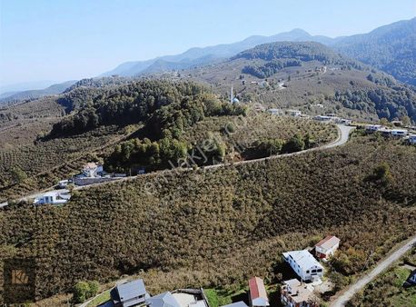 Doğayla İç İçe Ana Yola Sıfır Eşsiz %40 İmarlı Arsa