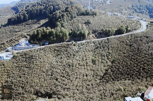 Eşsiz Manzarada Anayola Sıfır %40 İmarlı Arsa