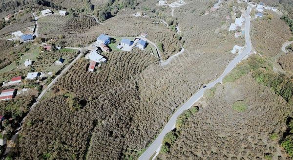 Doğayla İç İçe Ana Yola Sıfır %40 İmarlı Arsa