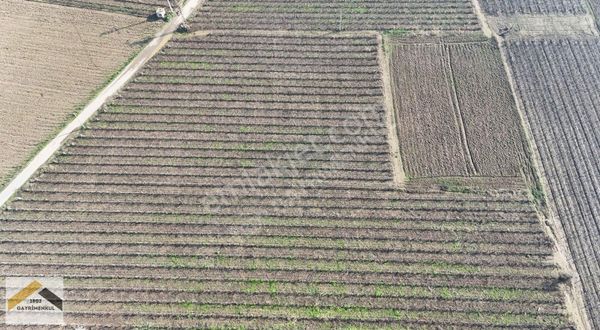 1802 Gayrimenkul'den Güzelköyde Tarla