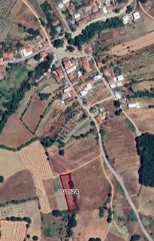 Kestel Nüshetiye'de Satılık Yatırımlık Köy İçinde Tarla