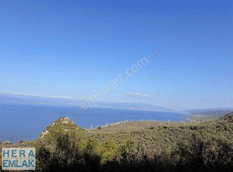 Göle 400 Metre, Full Göl Manzaralı Kelepir Bahçemiz